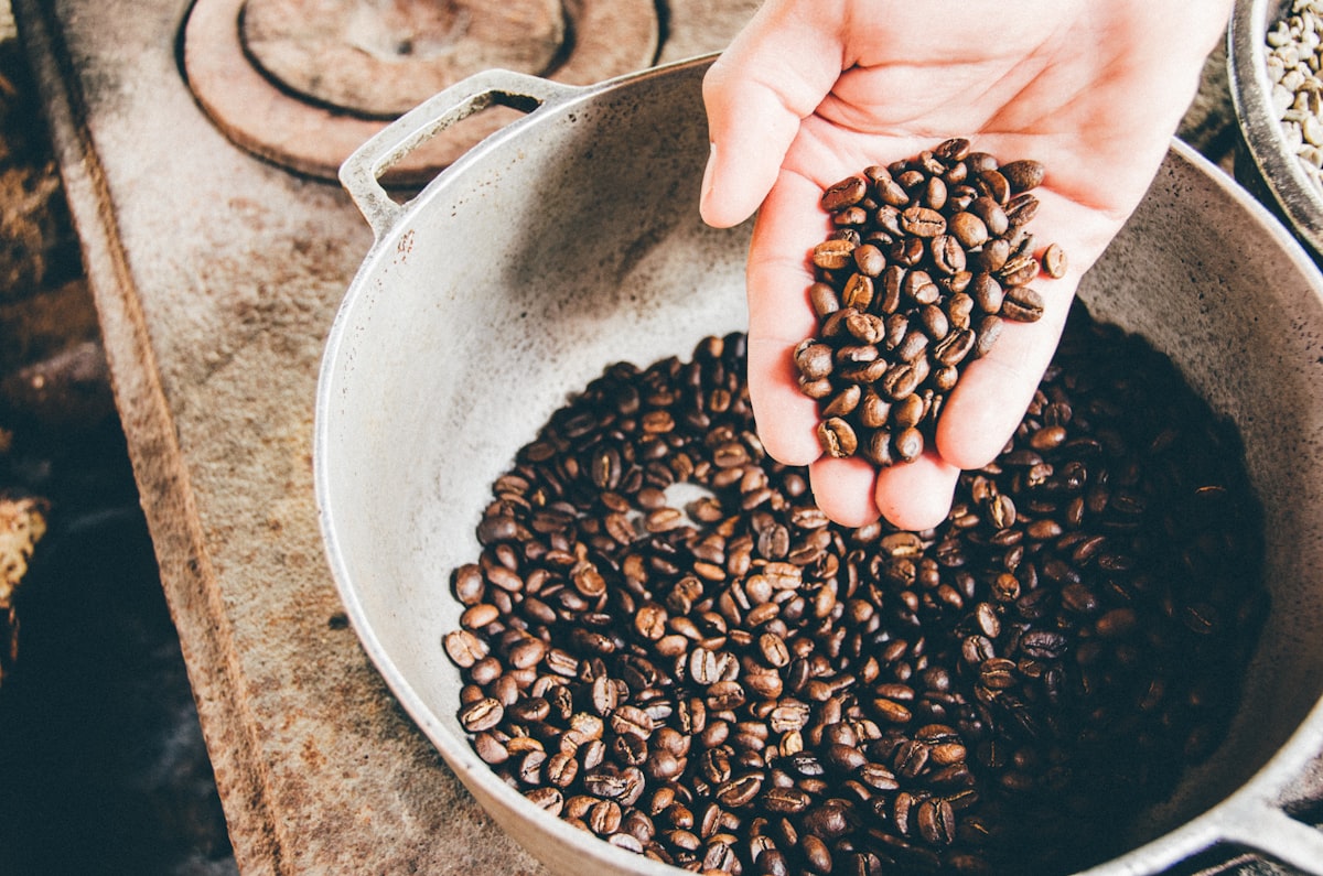 Brew-at-Home Starter Kit